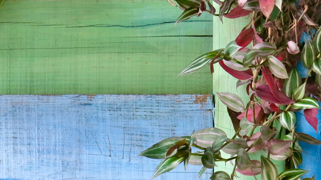 Life is never ending creation, held by love and power.